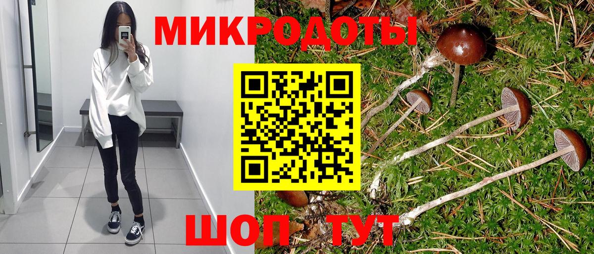 Псилоцибиновые грибы MAGIC MUSHROOMS  Вход с VPN  Галлюциногенные грибы GOLDEN TEACHER  Азнакаево 