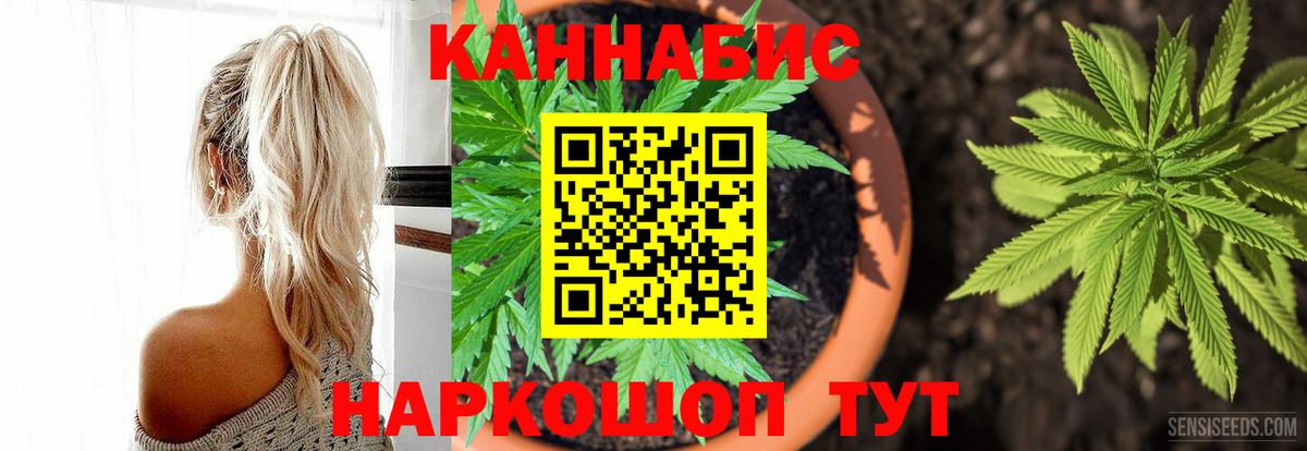Конопля планчик  Бошки Шишки Amnesia  Азнакаево  Вход с VPN  Шишки марихуана White Widow 